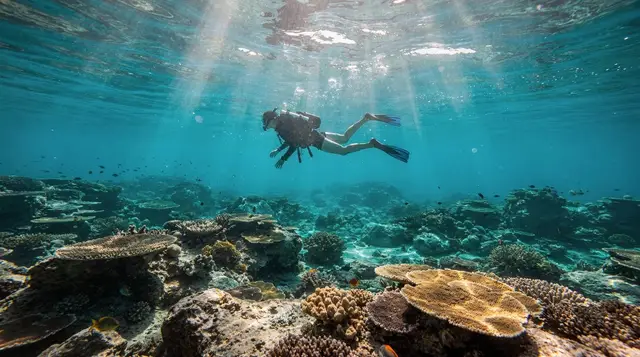 Best snorkeling spots in Phuket