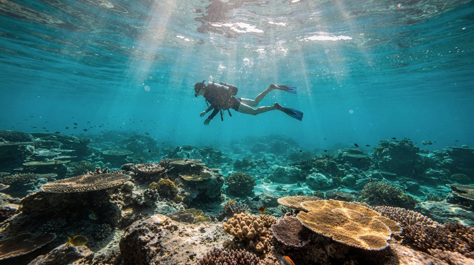 Die besten Schnorchelspots in Phuket